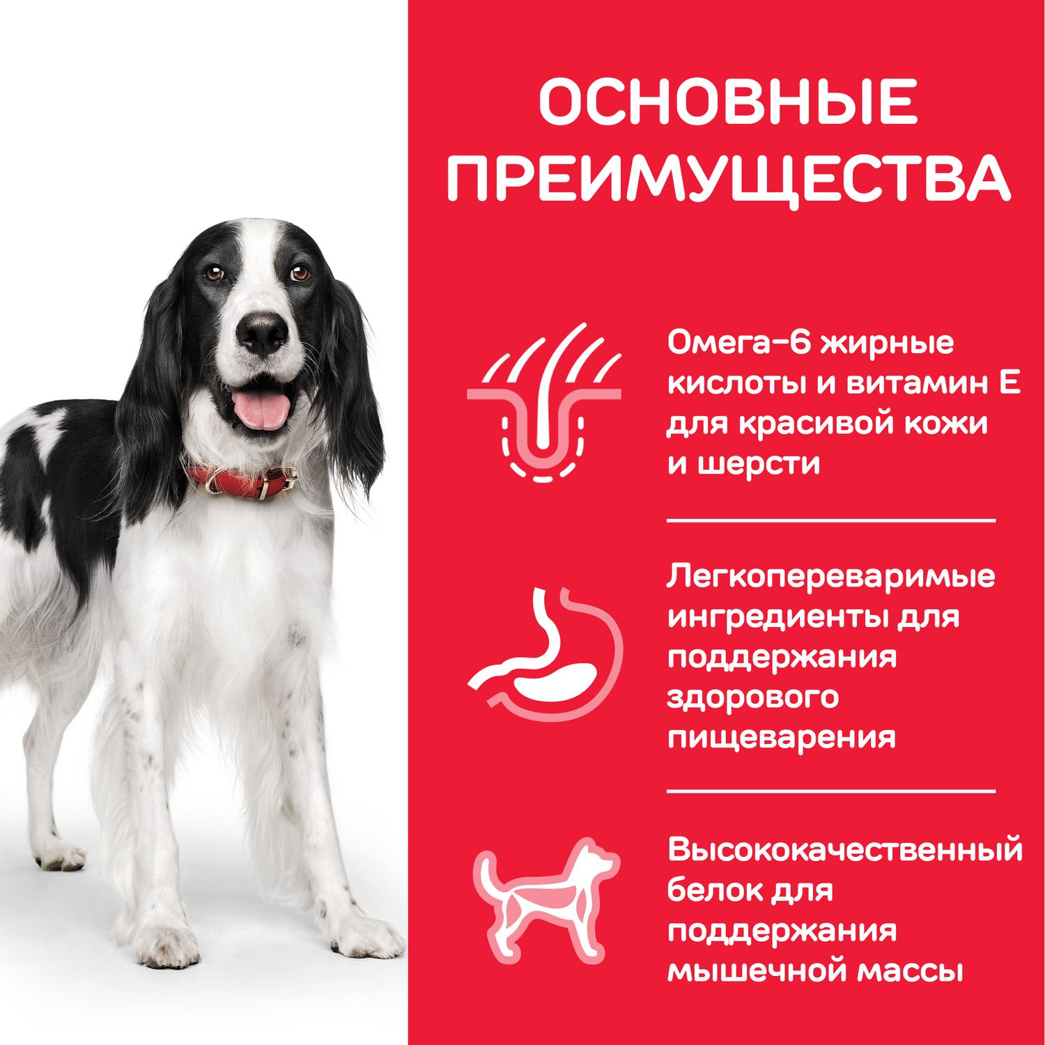 Корм для собак HILLS 12кг Science Plan Advanced Fitness для мелких и средних пород с курицей сухой - фото 5