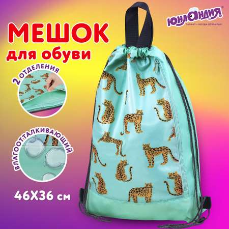 Мешок для обуви Юнландия