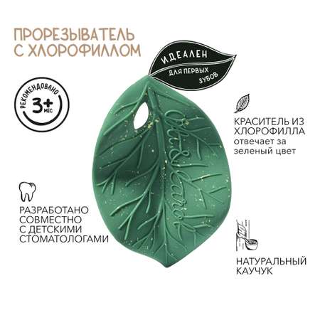 Прорезыватель OLI and CAROL
