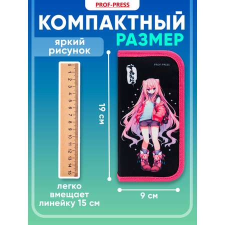 Пенал книжка Prof-Press