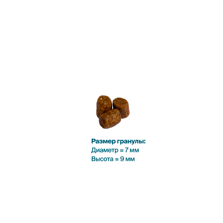 Корм сухой для кошек Profifeed Изысканное меню 10кг