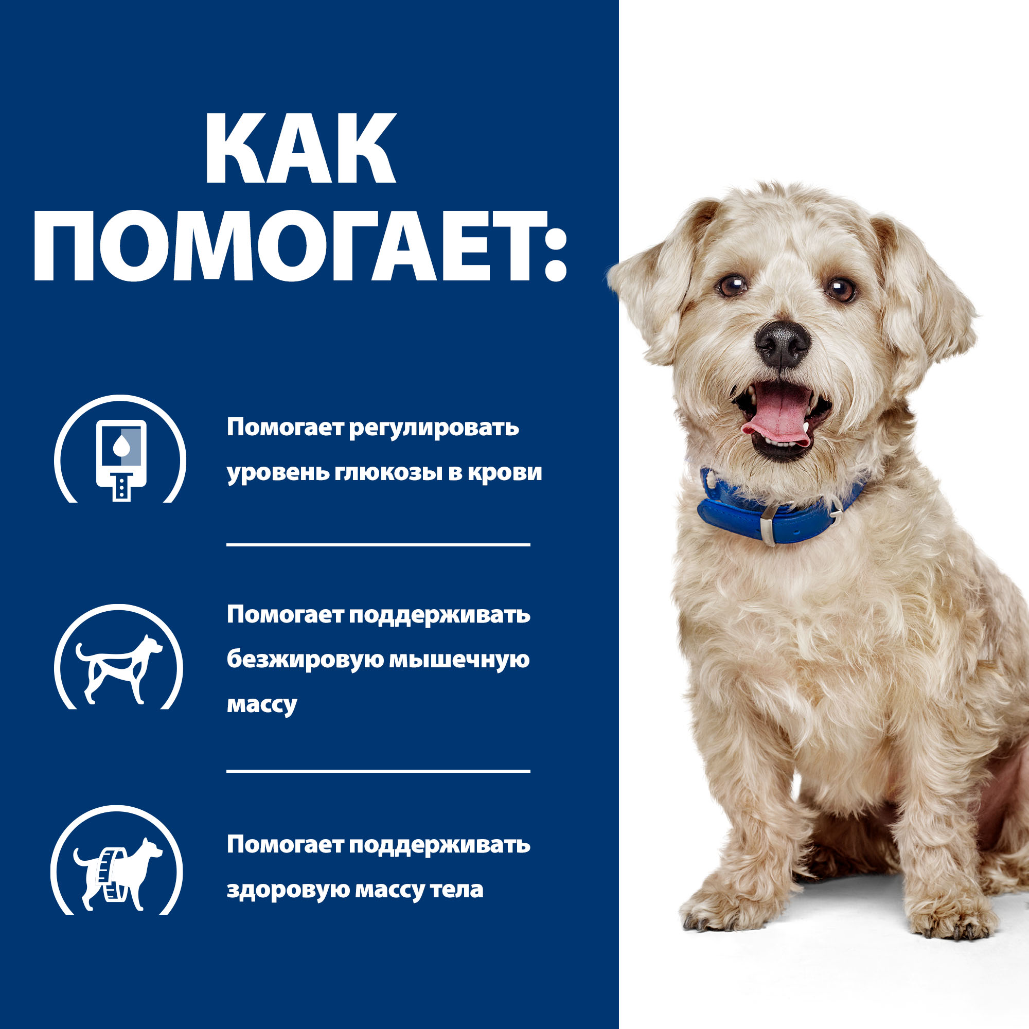 Корм для собак Hills 370г Prescription Diet w/d диетический при поддержании веса и сахарном диабете с курицей - фото 4