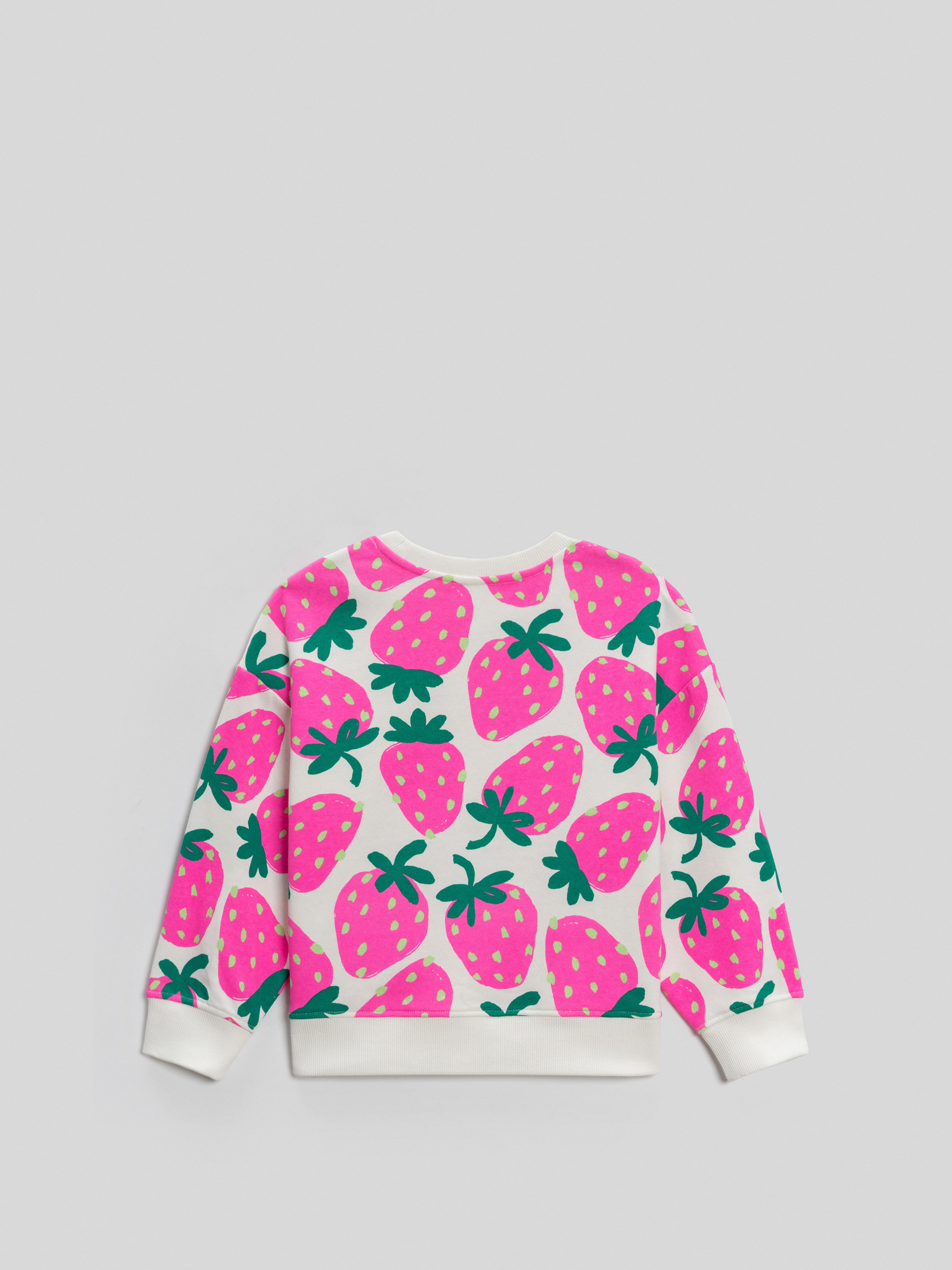 Свитшот Acoola 20220170166_0093248 - фото 4