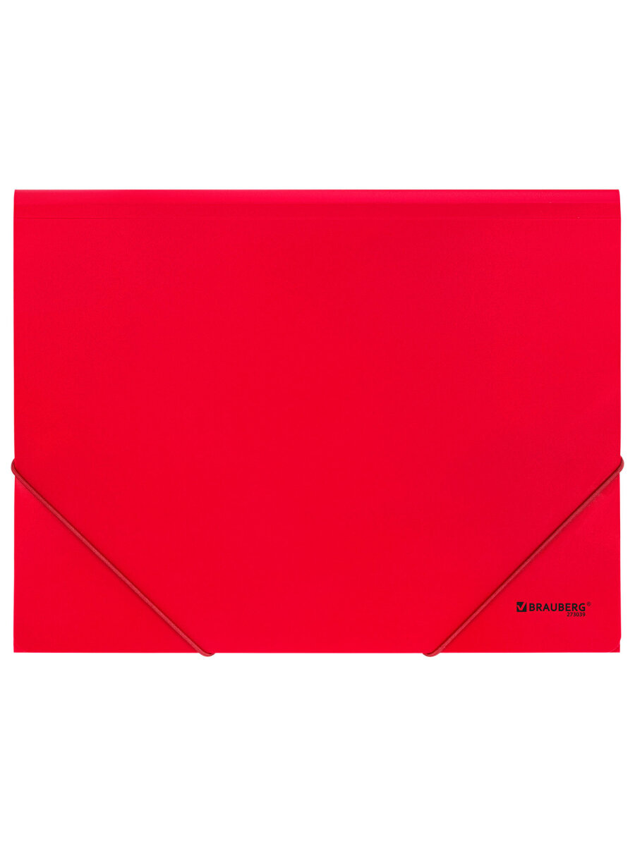 Папка для тетрадей Brauberg на резинках А4 - фото 3