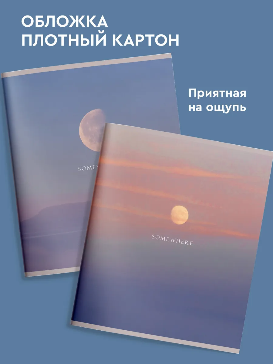 Общая тетрадь SCHOOLFORMAT клетка 5 шт. - фото 4
