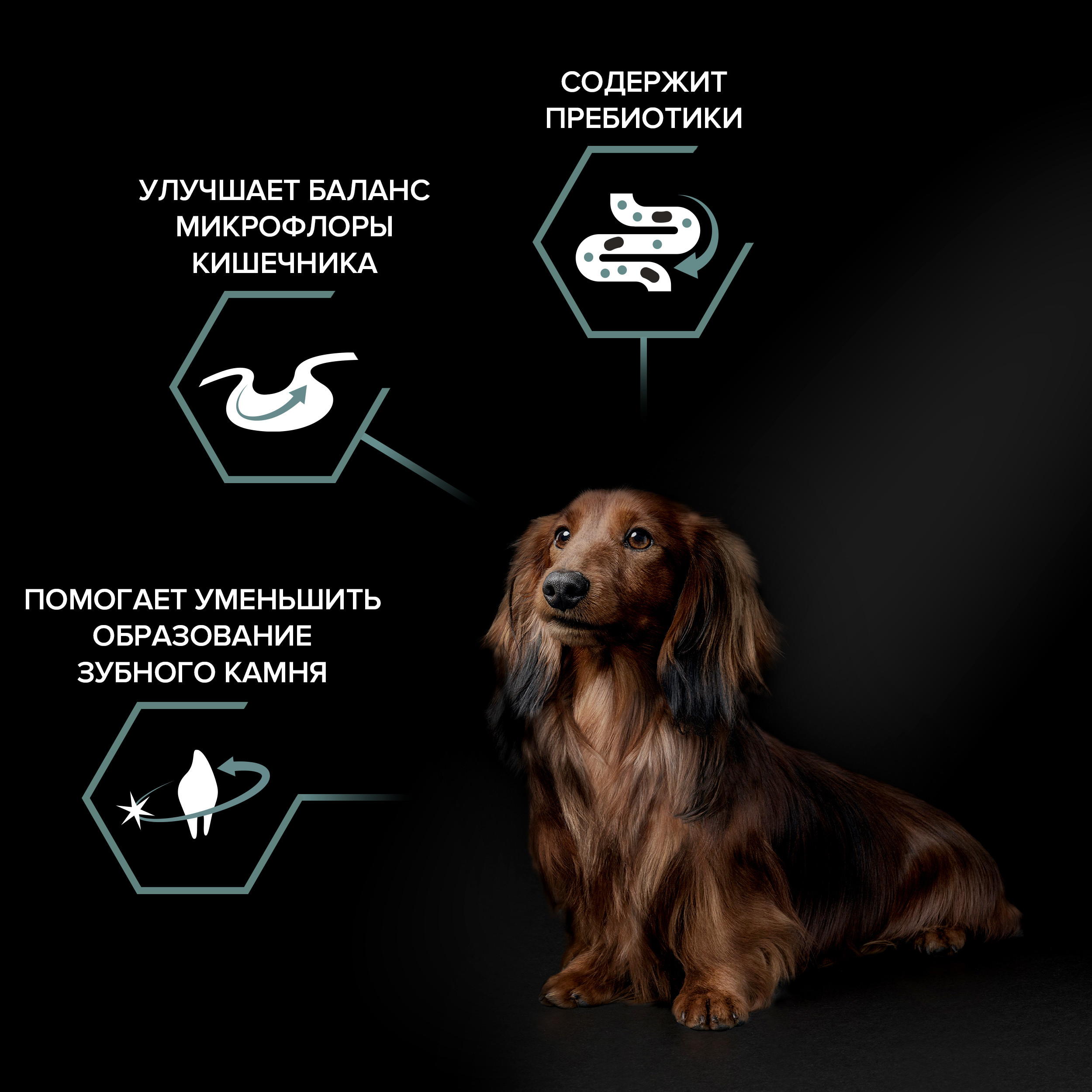 Корм сухой для собак PRO PLAN SENSITIVE DIGESTION 3 кг с ягненком для мелких пород - фото 3