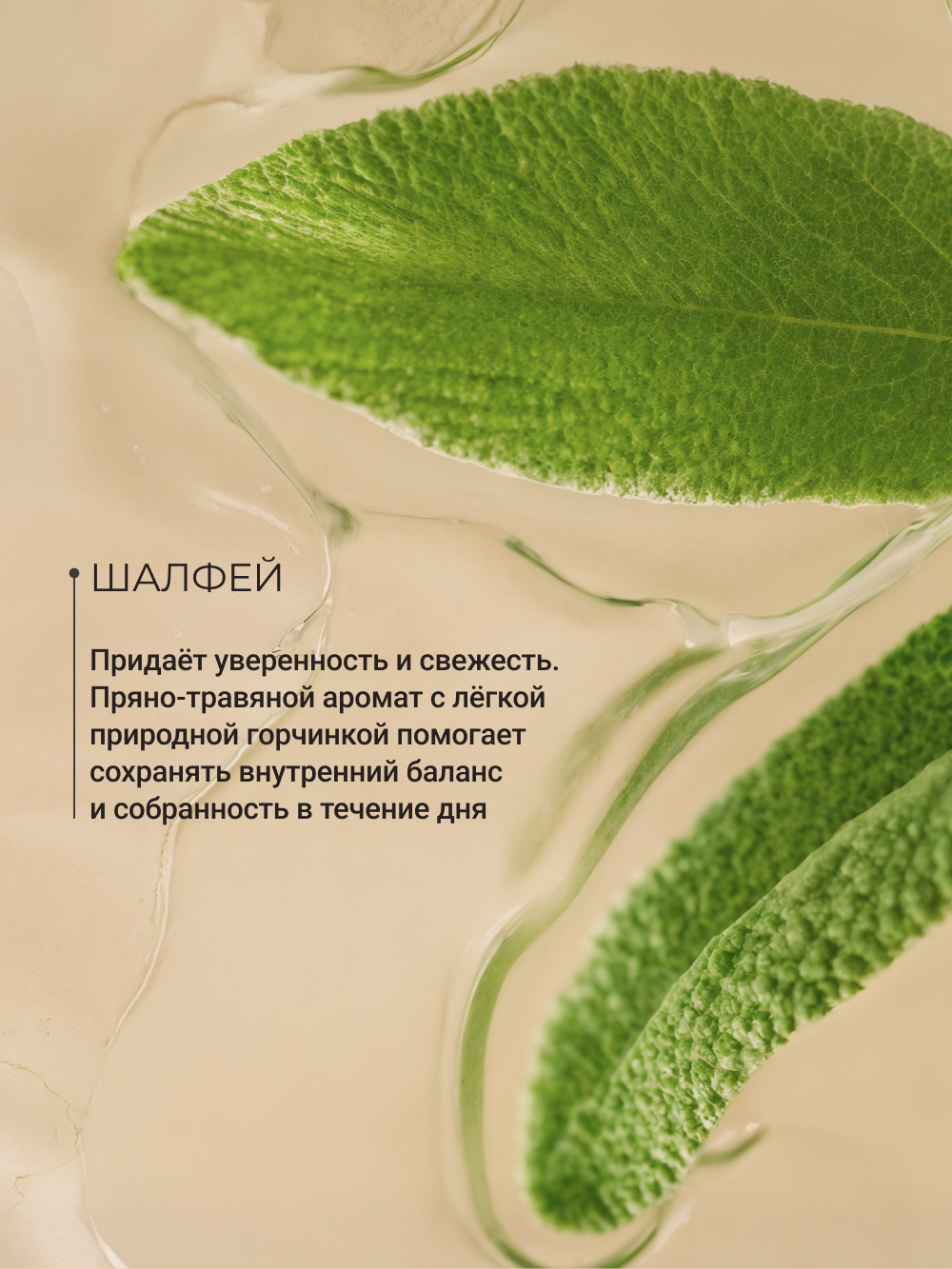 Дезодорант Zeitun Шалфей минеральный антибактериальный c квасцами без алюминия 150 мл - фото 4