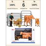 Игровой набор Masai Mara На ферме