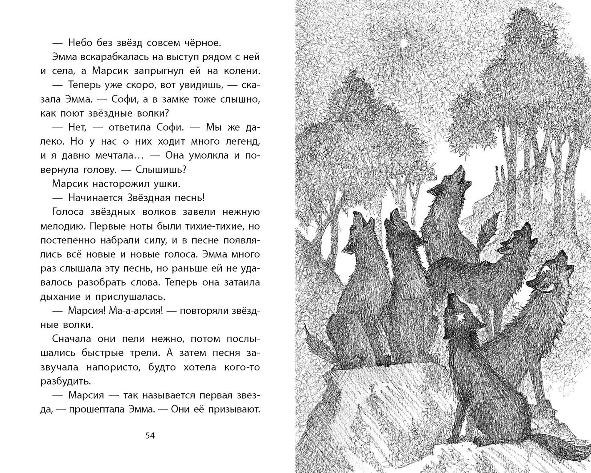 Книга Качели Марсик - звездный волчонок - фото 9