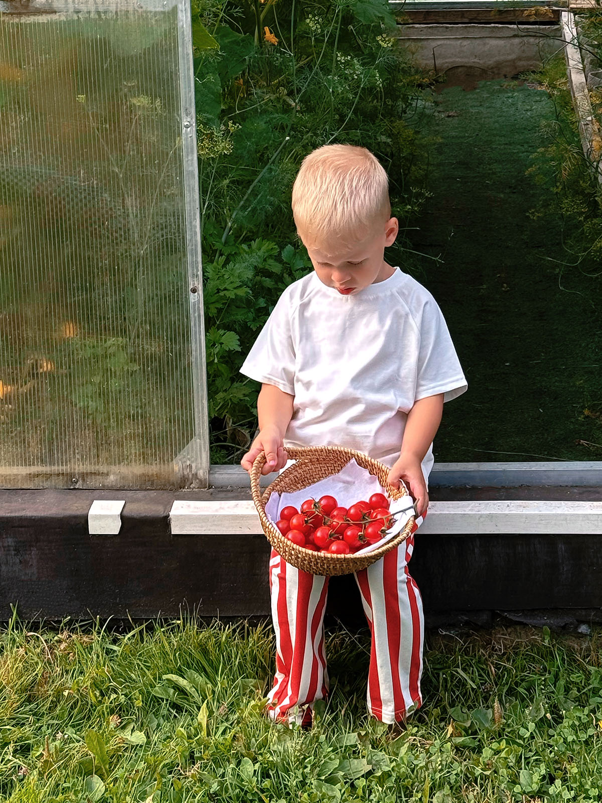 Брюки Mjolk 10986644 - фото 5