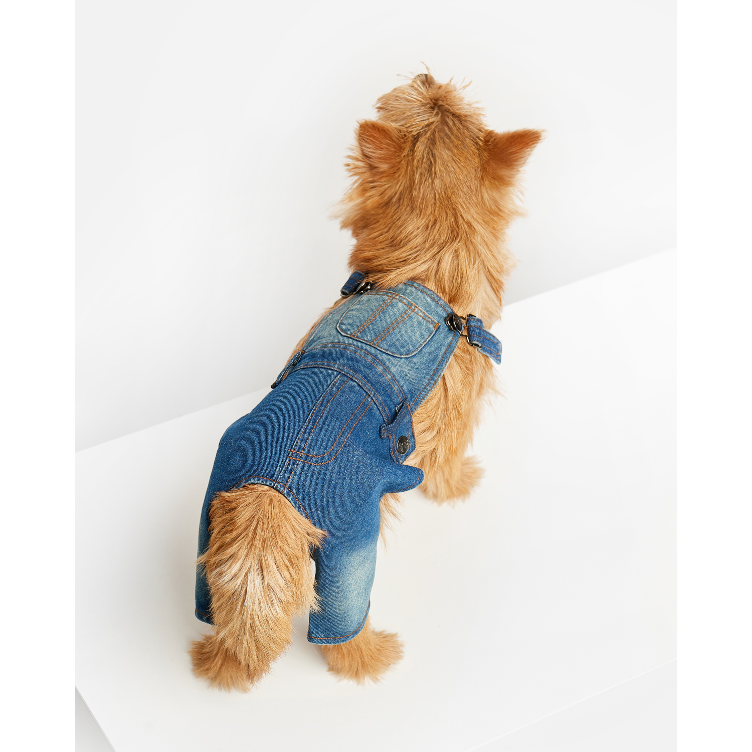 Костюм для собак Зоозавр синий 35 - фото 1