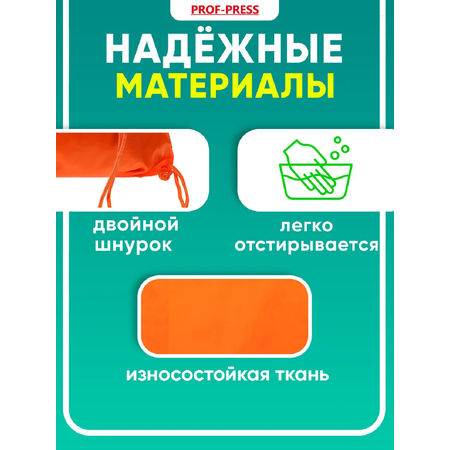 Мешок для обуви Prof-Press