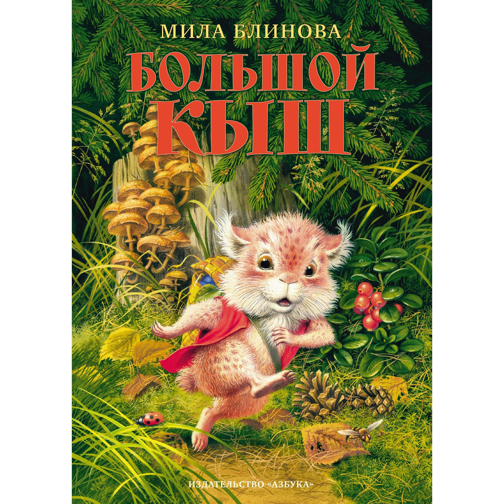 Книга АЗБУКА Большой Кыш Блинова М. - фото 1