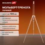 Мольберт Brauberg