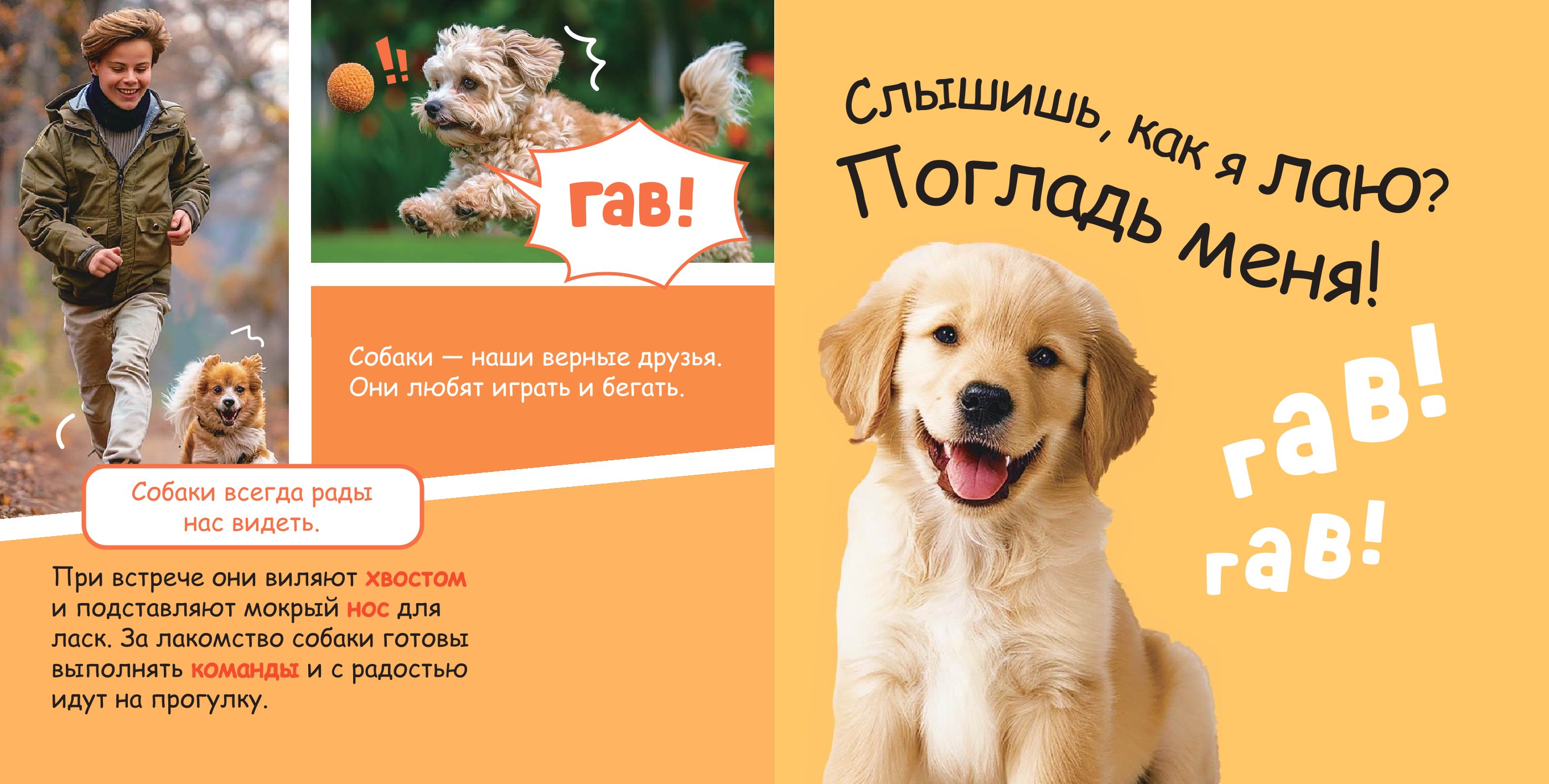 Книга АСТ Трогательные книжки со звуками Домашние питомцы - фото 3