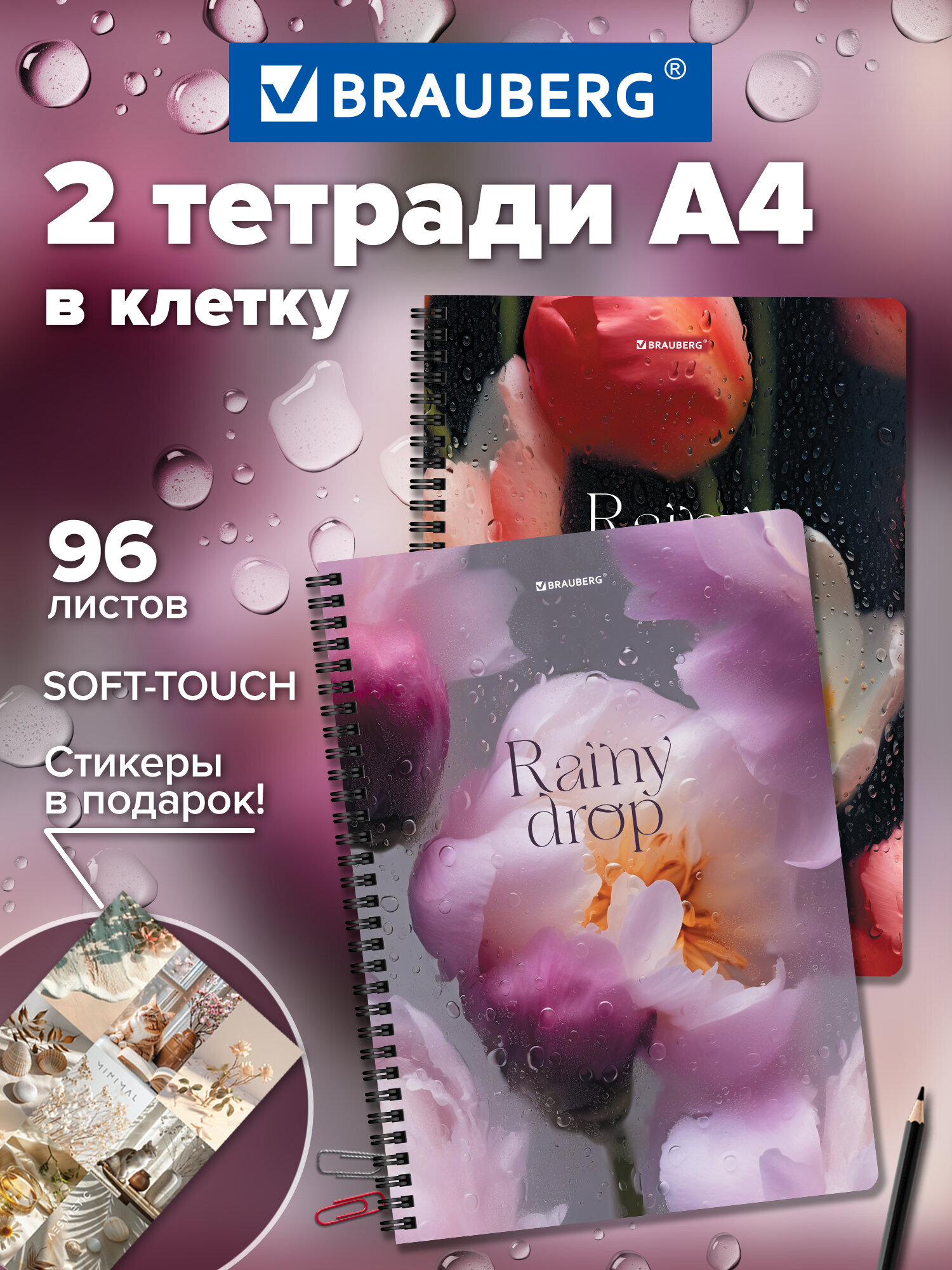 Общая тетрадь Brauberg клетка 96 лист. 2 шт. - фото 2