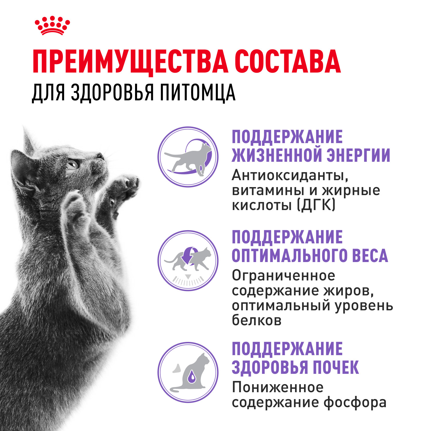 Корм сухой для кошек ROYAL CANIN Sterilised 1.5кг пожилых стерилизованных - фото 3