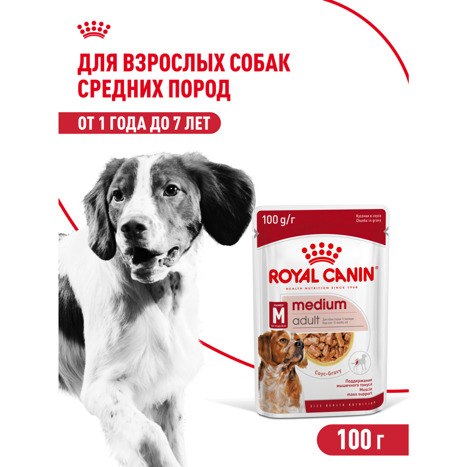 Корм для собак ROYAL CANIN Medium Adult консервированный полнорационный для взрослых собак средних размеров - фото 2
