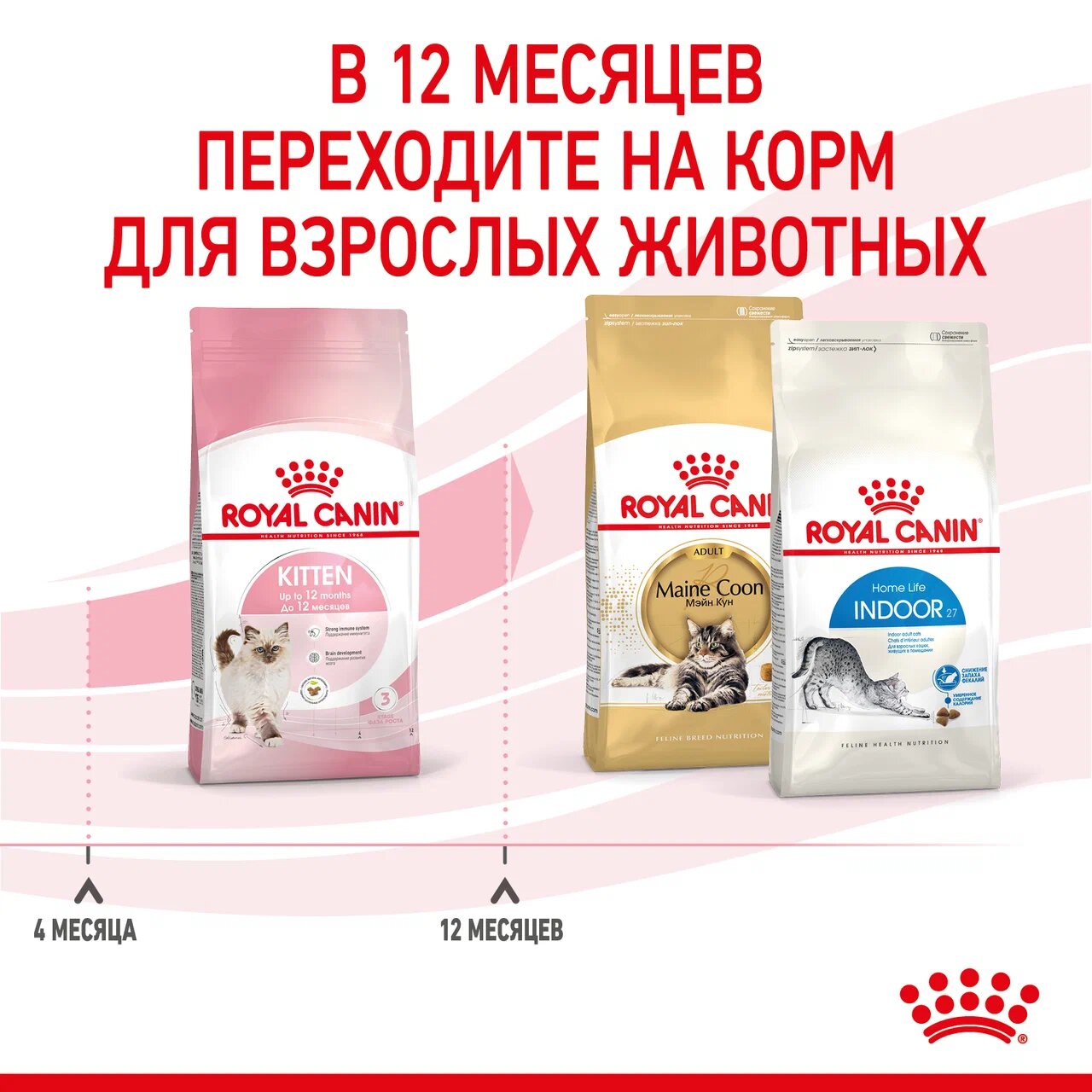 Корм для стерилизованных котят Royal Canin Kitten Sterilised сухой 300+150г - фото 9