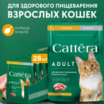 Корм влажный Cattera консервированный полнорационный