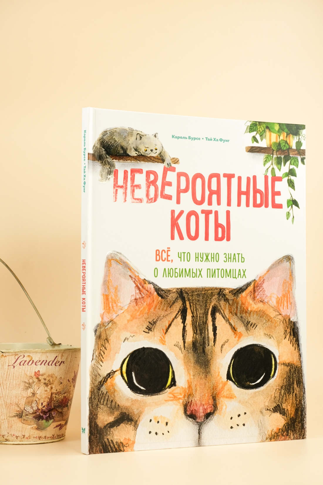 Книга Махаон Энц. Бурсе К. Невероятные коты. Всё, что нужно знать о любимых питомцах - фото 5