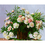 Картина по номерам Белоснежка Пионовое настроение