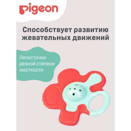 Прорезыватель Pigeon