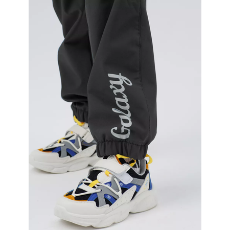 Брюки Lemonwear