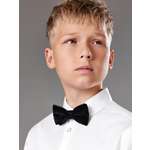 Галстук-бабочка Acoola