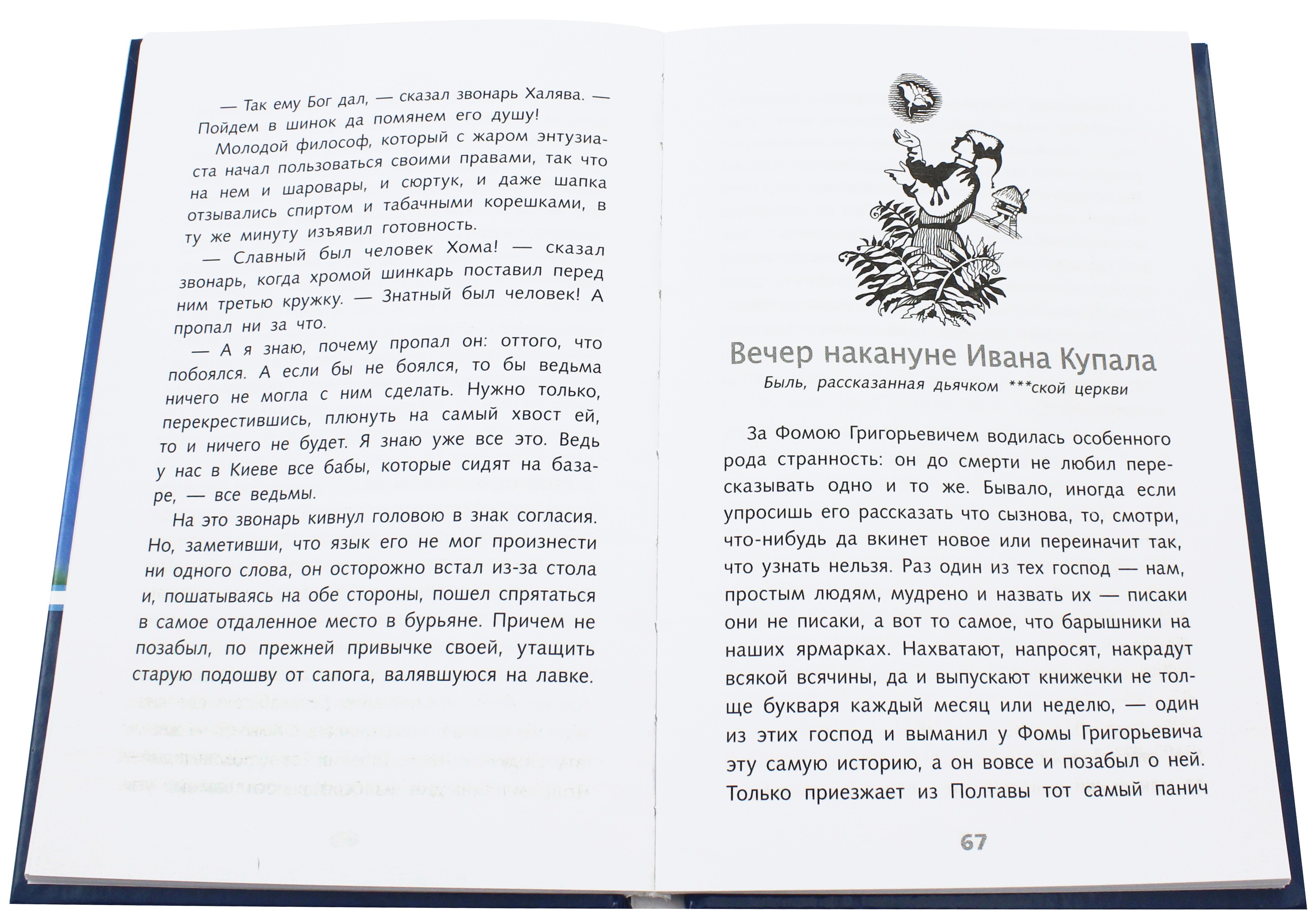 Книга Стрекозa Вий - фото 2