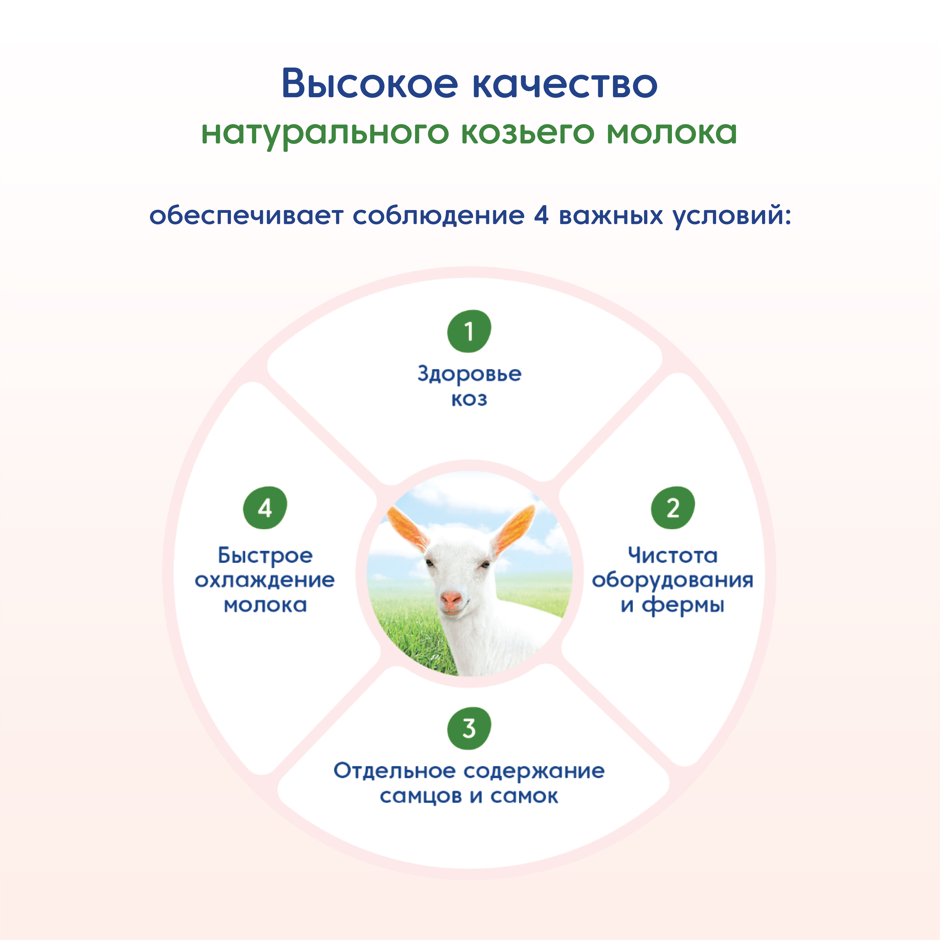 Каша Мамако 7 злаков с ягодами на козьем молоке 200г с 6 месяцев - фото 5