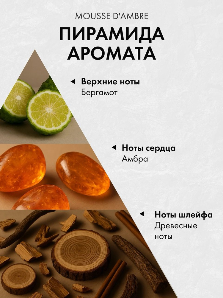Диффузор с сухоцветами в Премиум тубусе Accents Mousse d’Ambre - фото 2