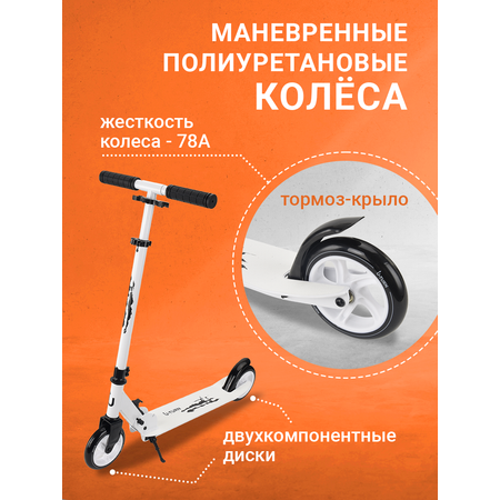 Самокат Рыжий кот двухколесный