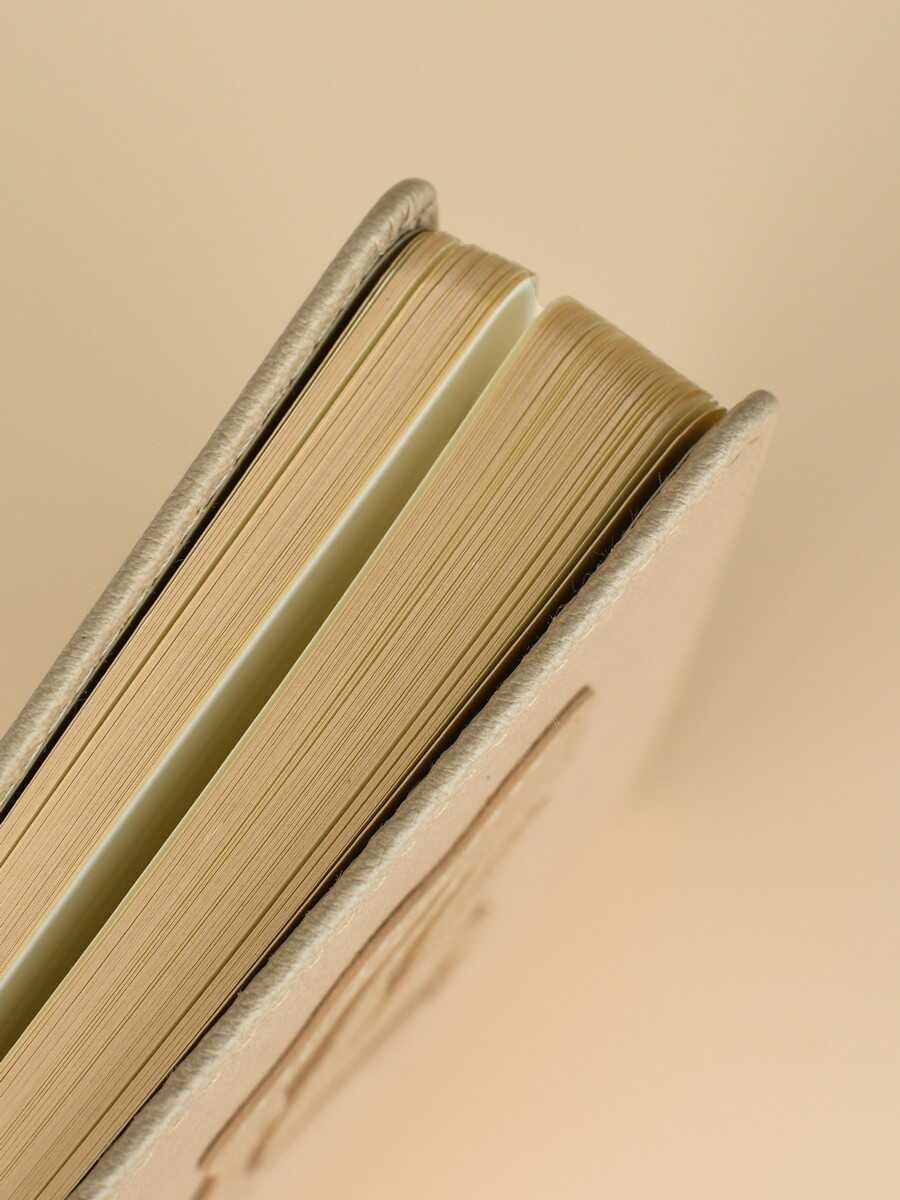 Ежедневник Феникс + ESCALADA 160 лист. - фото 6