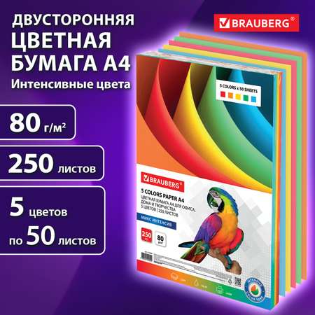 Бумага офисная Brauberg 250 лист.