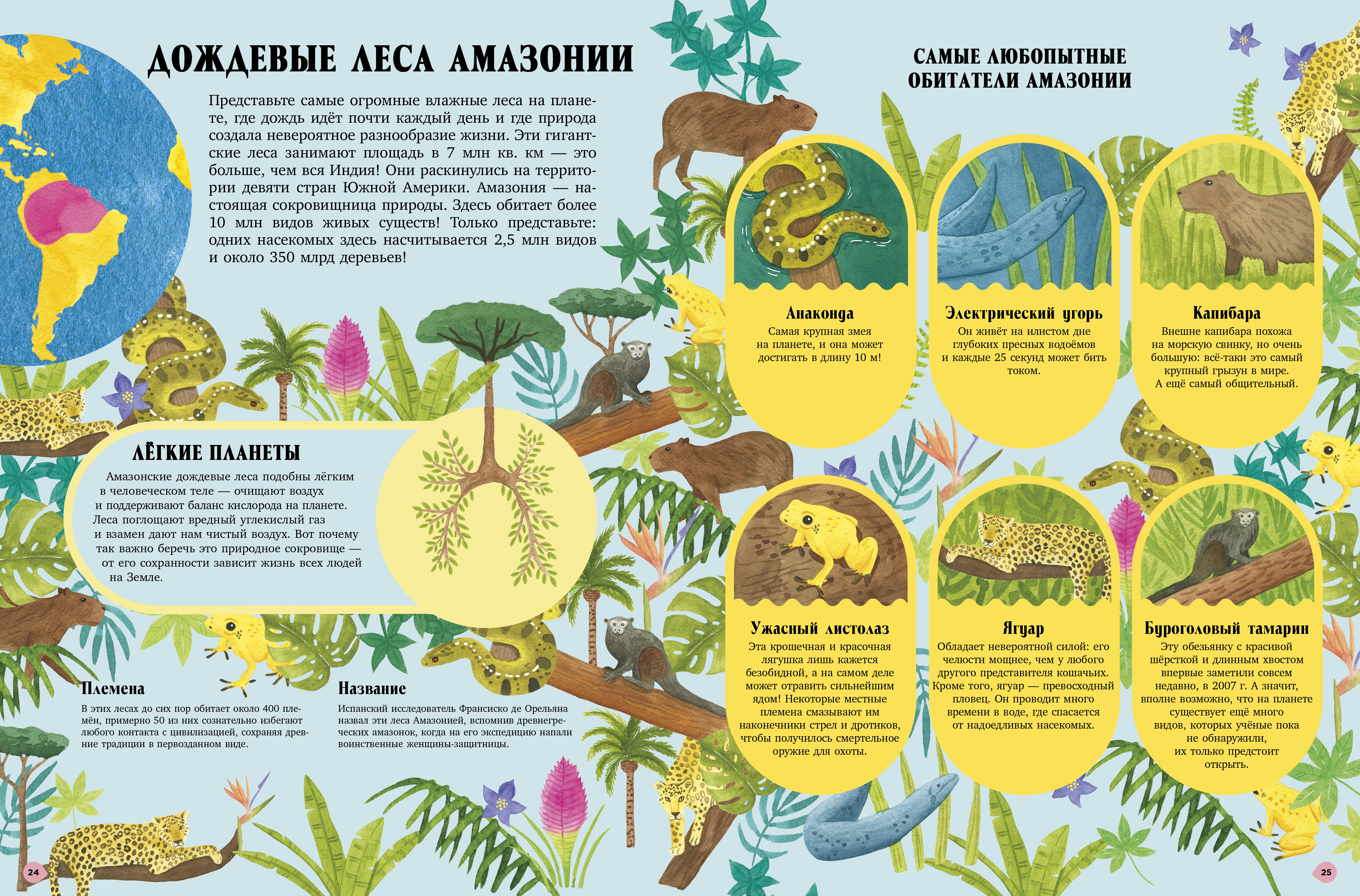 Книга Clever Большая энциклопедия - фото 2