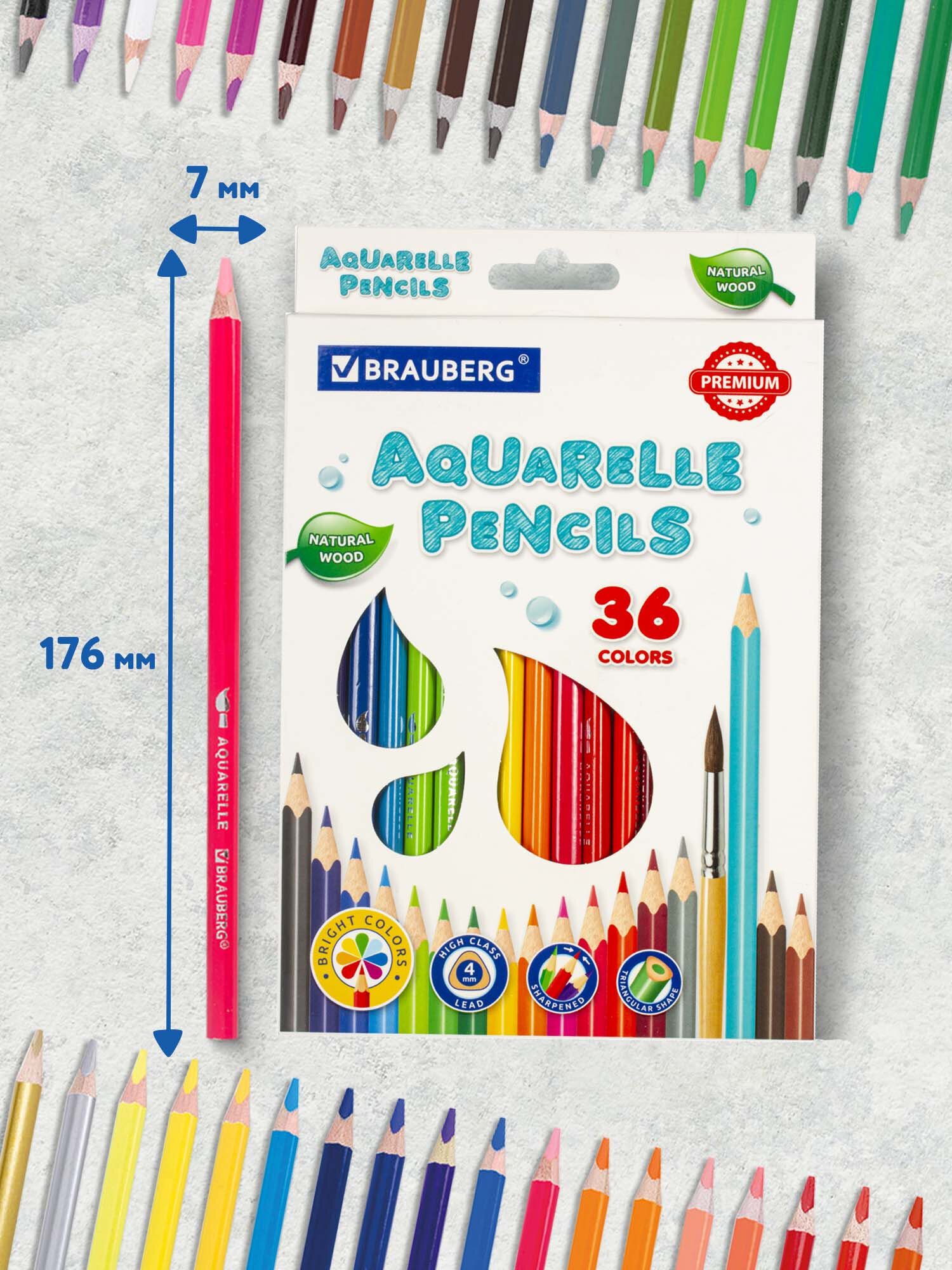 Карандаши акварельные Brauberg 36 шт. - фото 1