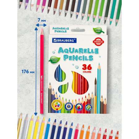 Карандаши акварельные Brauberg 36 шт.