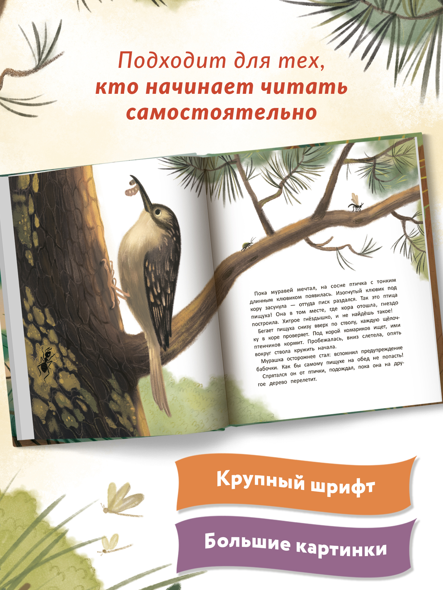 Книга Феникс Премьер Как муравей за солнышком ходил. Добрая сказка - фото 7