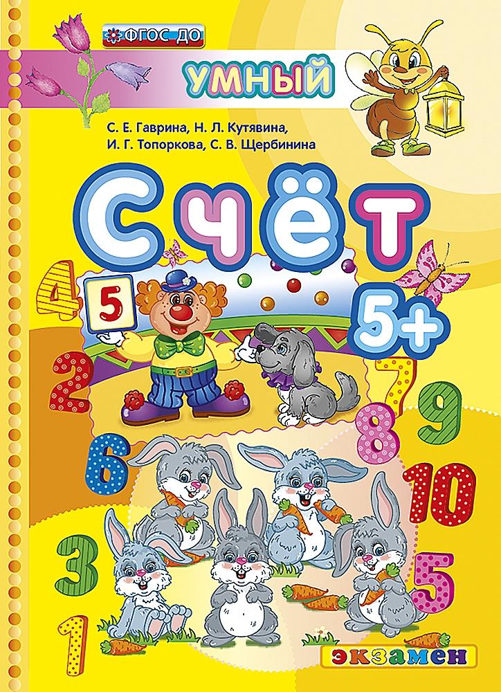Книга Лабиринт Счет 5+ ФГОС - фото 1