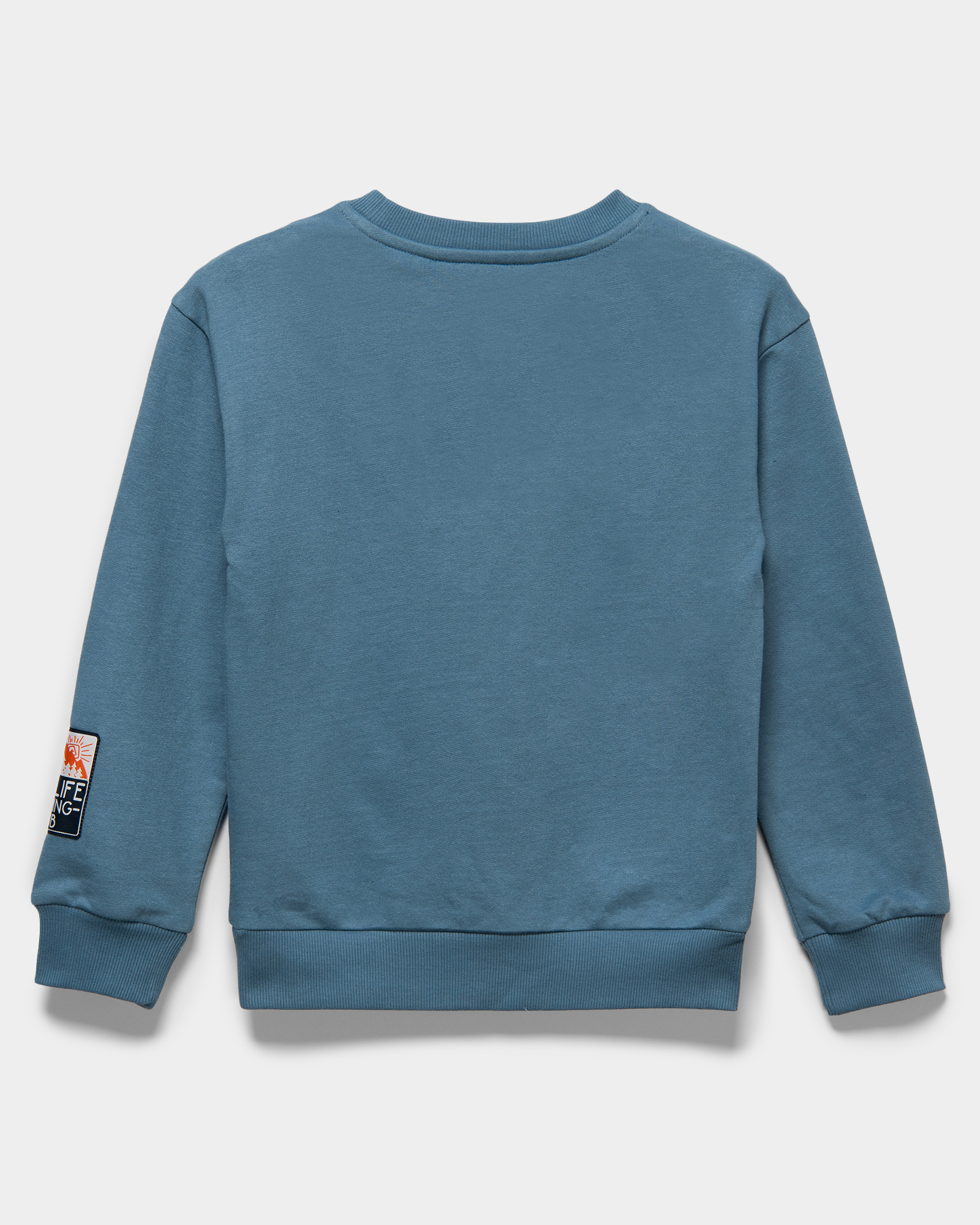 Свитшот Futurino W24FU1-X7M0027kb-66 - фото 3