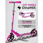 Самокат Рыжий кот двухколесный