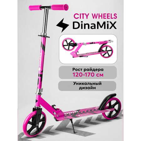 Самокат Рыжий кот двухколесный