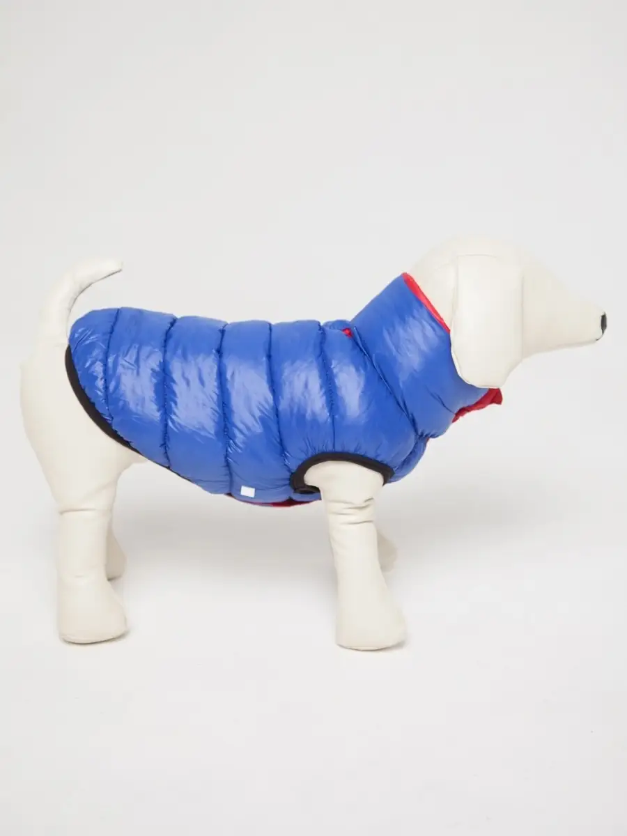 Жилет PIFPAF DOG двухсторонний - фото 4