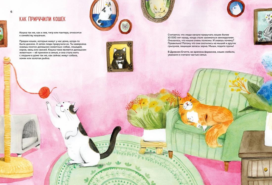 Книга Махаон Энц. Бурсе К. Невероятные коты. Всё, что нужно знать о любимых питомцах - фото 14