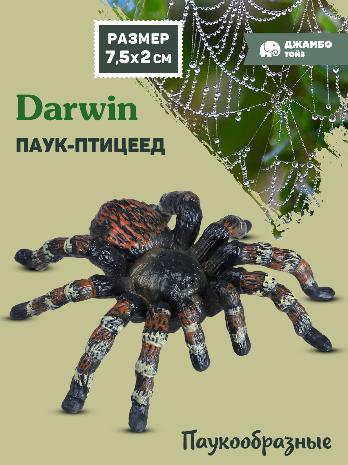 Фигурка DARWIN Паук птицеед - фото 1