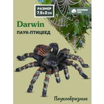 Фигурка DARWIN Паук птицеед