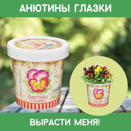 Набор для выращивания Rostok Visa