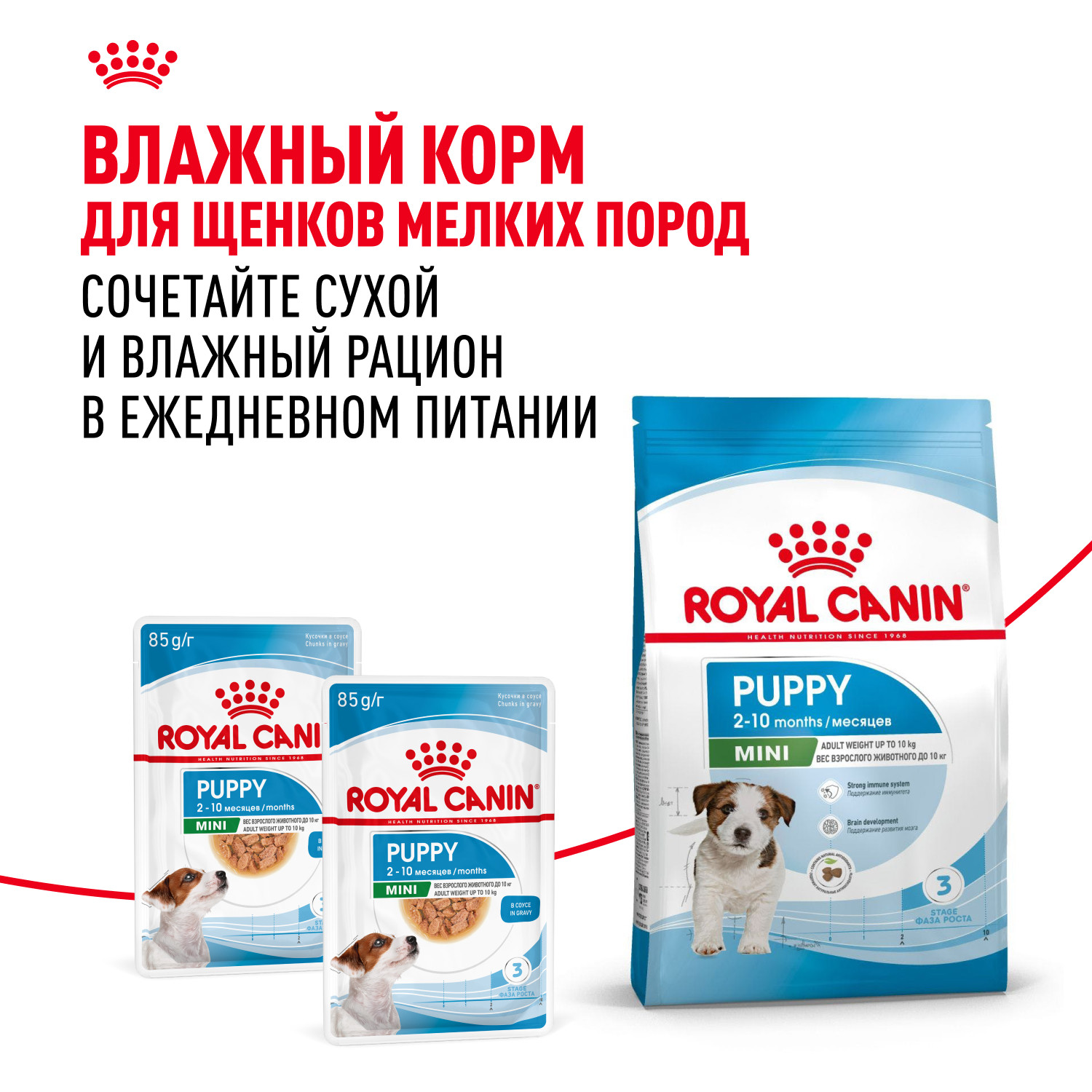 Корм для щенков ROYAL CANIN Puppy мелких пород 800г - фото 8