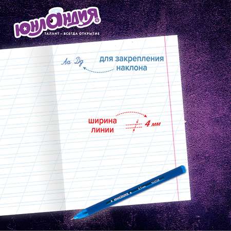 Тетрадь Юнландия косая линейка 12 лист. 20 шт.